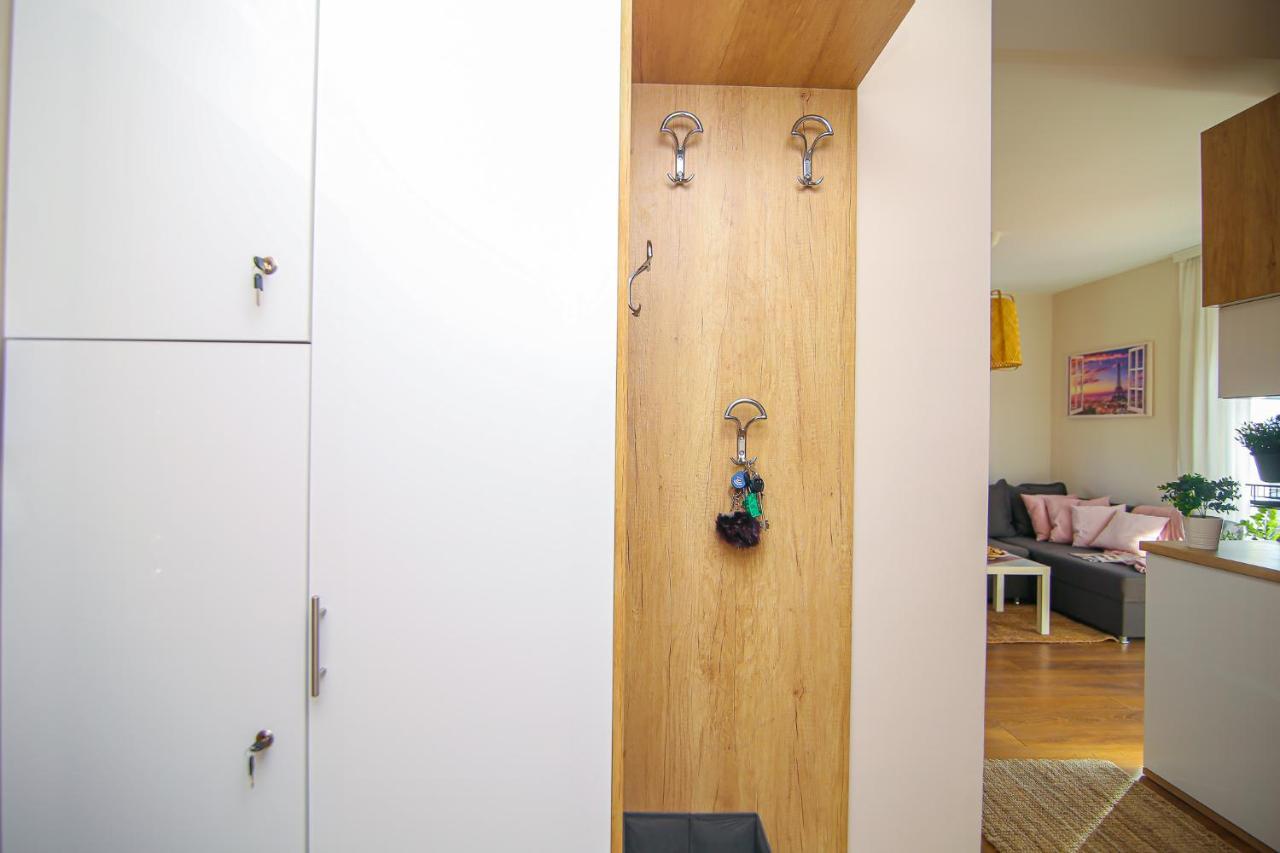 Narcis 17 - Novonamesteni Apartman Sa Prelepim Pogledom Na Tornik ズラティボール エクステリア 写真