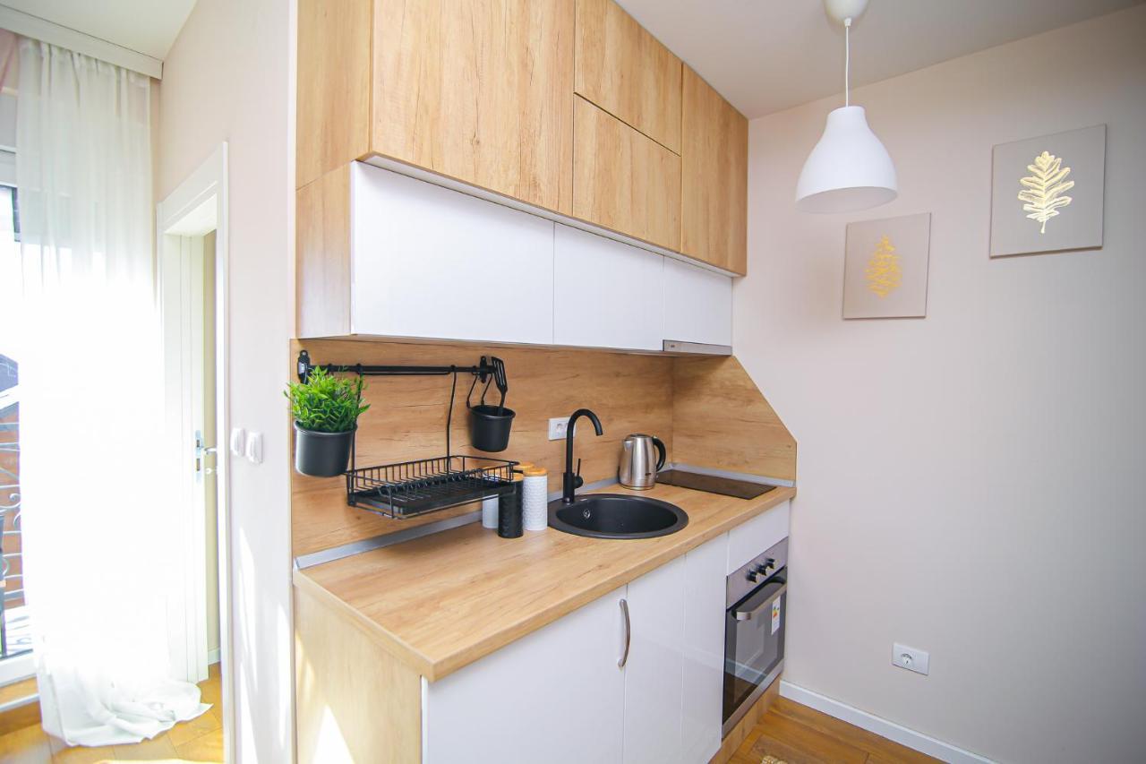Narcis 17 - Novonamesteni Apartman Sa Prelepim Pogledom Na Tornik ズラティボール エクステリア 写真